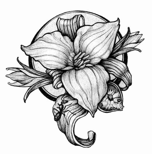 Our logo with a trillium flower.