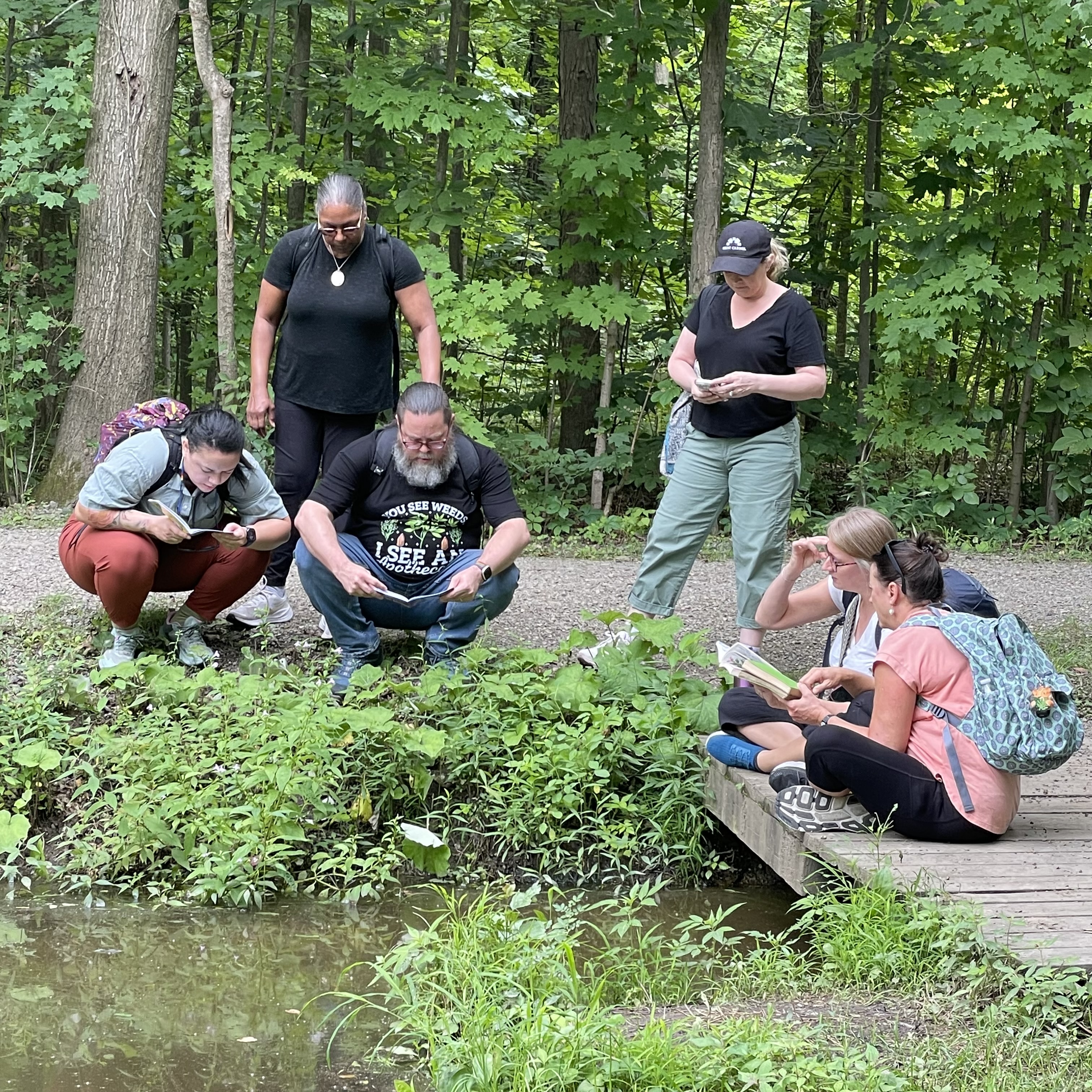 A group identifying plannts