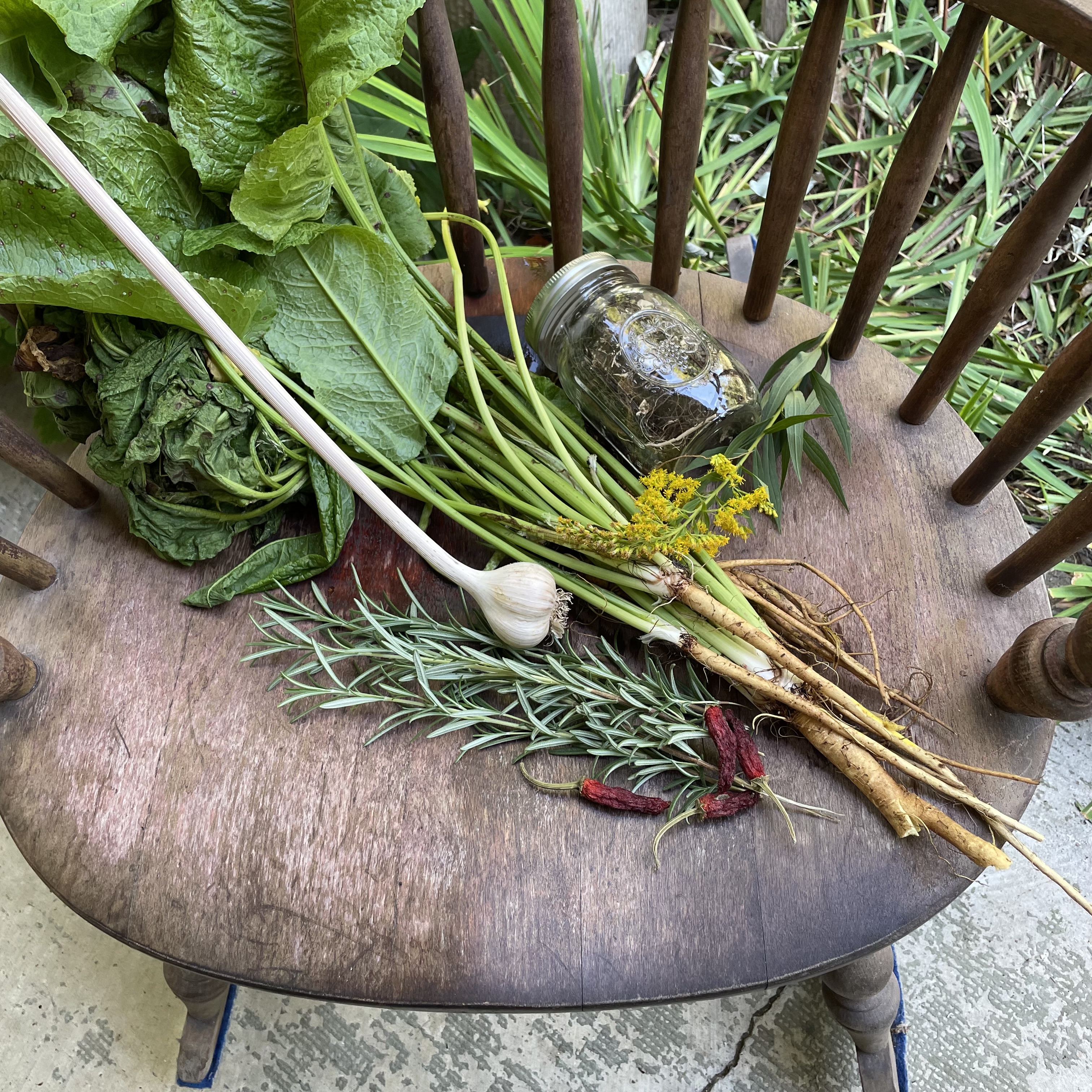 A photo of herbs gathered into a rocking chair