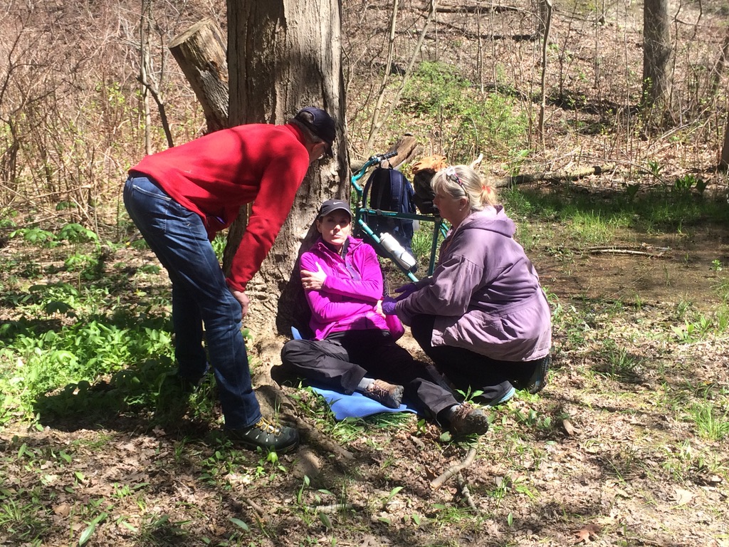 People training in first aid outdoors.